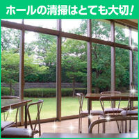 花王 かんたんマイペット 詰替用350mL 1セット（2個）