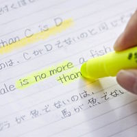 ステッドラー　固形蛍光マーカー　テキストサーファーゲル　アソート　264　PB3　1パック（3色入）