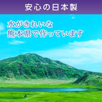 共和　ミリオン筋肉サポート　25mm×5m　LN-D25　1箱（12巻入）