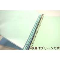 コクヨ　クリヤーブック替紙（カラーマット）　A4タテ30穴　グレー　ラ-880NM　1袋（10枚入）