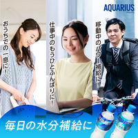 コカ・コーラ アクエリアスゼロ 2L 1セット（12本）