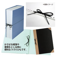 プラス つづりひも セル先 45cm スフ+PP 黒 TF-210C 1束(100本)