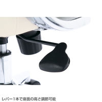 サンワサプライ　ミドルバックレザーチェア　オフィスチェア　肘付　ベージュ　SNC-L12BG 1脚　（直送品）