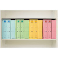 コクヨ チューブファイル 両開き パイプ式ファイル カラーボードツインA4タテ とじ厚50mm背幅62mm ブルー フ-T1650B 1箱（10冊入）（直送品）