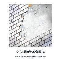 セメダイン コンクリート・金属・木材用接着剤 PM165R-HI 50ml RE-220 1本