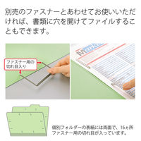 プラス 個別フォルダー A4E グリーン FL-081IF 1パック(10枚入)