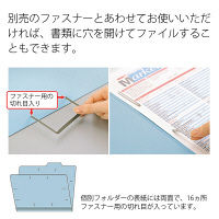 プラス 個別フォルダーエコノミー A4ERBL FL-081IF 1パック(10枚入)