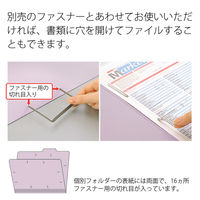 プラス 個別フォルダーエコノミー A4E VL FL-081IF 1パック(10枚入)