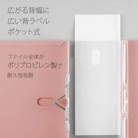 プラス 背幅伸縮PPセノバス FL-021SP PK 1冊