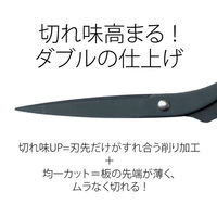 プラス ステンレスハサミ ブラック SC-165F BK 1個（直送品）