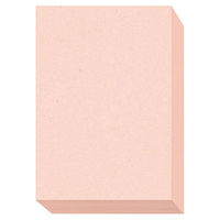大王製紙　ダイオーマルチカラープリンタ用紙　86429　A3　1箱（1500枚入）　さくら色