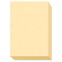 大王製紙　ダイオーマルチカラープリンタ用紙　86430　A3　1箱（1500枚入）　レモン色