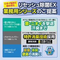 リセッシュ除菌EX消臭ストロング 本体370ml