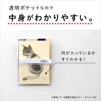 セキセイ　マグネットポケット　ポケマグ　A6サイズ　ホワイト　PM-2743-70　1セット（5個：1個×5）