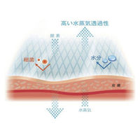 スリーエム 3M テガダーム コンフォート ドレッシング 1684