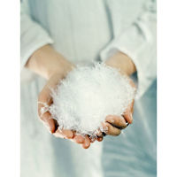 篠原化学 フォスフレイクス枕 43×63cm FOSS-4363 1個