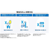 パナソニック　アルカリ乾電池　エボルタ　単1形　LR20EJN/10S　1パック（10本入）