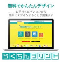 エレコム スーパーファイン紙 高画質用 厚手 両面 A4 20枚 EJK-SRAPA420 1パック(20枚入)