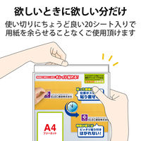 エレコム ラベルシール 宛名ラベル きれい貼 フリーカット ノーカット２０枚 EDT-FKEXM 1袋（20枚）（直送品）