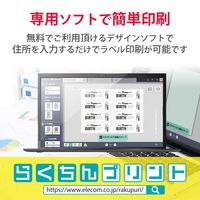 エレコム チケット用紙/マルチ/両面/176枚 MT-J8F176 1パック(8面×22シート)