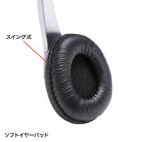 サンワサプライ マルチメディアPCヘッドセット MM-HS507NCN 1個