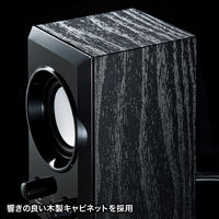 サンワサプライ USBスピーカー(ブラック) MM-SPU7BK 1セット