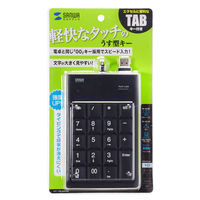 サンワサプライ USBテンキー NT-16UBKN 1個