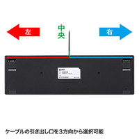 サンワサプライ 英語配列USBスリムキーボード 有線 パンタグラフ ブラック SKB-E2U 1個（直送品）