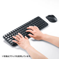サンワサプライ マウス付きワイヤレスキーボード SKB-WL25SETW 1個