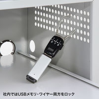 サンワサプライ USBメモリセキュリティ ブラック SL-69 1個