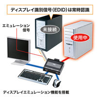 サンワサプライ HDMI対応手元スイッチ付きパソコン自動切替器(2:1) SW-KVM2WHU 1個（直送品）