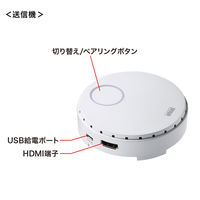 サンワサプライ ワイヤレスHDMIエクステンダー VGA-EXWHD6 1個（直送品）