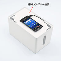 サンワサプライ ケーブル&タップ収納ボックス CB-BOXP1WN2 1個