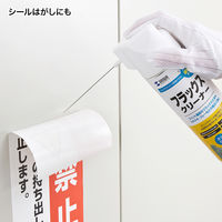 サンワサプライ フラックスクリーナー CD-100 1個