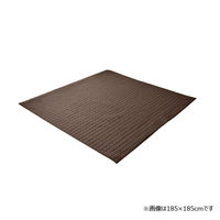 イケヒコ・コーポレーション スタイルBR約200×250cm 1291300000000 1枚