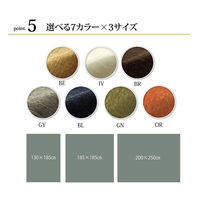 イケヒコ・コーポレーション モデルノ 折畳GY約185×185cm 1292340000000 1枚