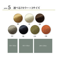 イケヒコ ラグ 洗える 無地カラー 選べる7色 『モデルノ』 アイボリー 約200×250cm 1292340146502 1枚（直送品）