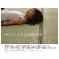 イケヒコ・コーポレーション 草津 ヒバ 江戸 四方 約江戸間8畳 1010020000000 1枚