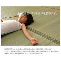 イケヒコ・コーポレーション 松 ヒバ 三六 四方約三六間2畳 1010030000000 1枚