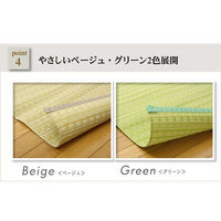 イケヒコ・コーポレーション バルカン PP 江戸GN約江戸間6畳 1090030121202 1枚