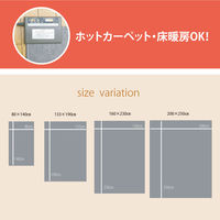 イケヒコ・コーポレーション カーペット 『マリア RUG』 ベージュ 約80×140cm 1321250000000 1枚