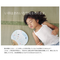 イケヒコ・コーポレーション 不知火 ヒバ 江戸 四方約江戸間4.5畳 1400010000000 1枚