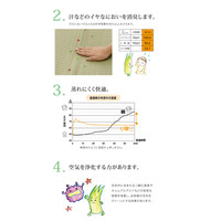イケヒコ 国産い草シーツ（寝ござ） 『球磨川』 ブルー シングル約88×180cm（熊本県八代産イ草使用） 1枚（直送品）