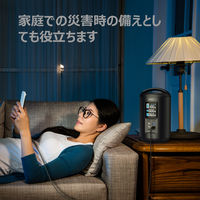 ポータブル電源　蓄電池　充電器　219Wh容量　Power Ares 200　PS-ST02　1台　AUKEY