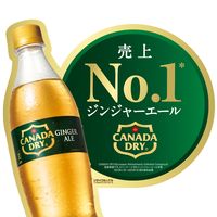 【炭酸飲料】　カナダドライ ジンジャーエール 350ml 1セット（48本）