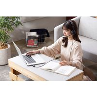 アイリスオーヤマ ヘッドセット(USBタイプ)　IHS-U03-B　ブラック IHS-U03-B 1台