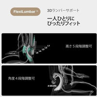 【軒先渡し】HINOMI デスクチェア ブラック H1 PRO V2-L BK 1脚（直送品）