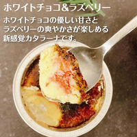 FUJI 5種の濃厚カタラーナ スイーツギフト 1箱（直送品）