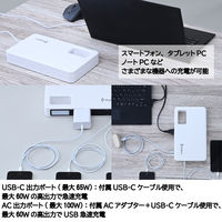 BigBlue フラットパワーステーションシステム ポータブル電源+34W ソーラーパネルセット CP110(PW) 1台