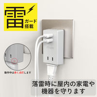 トップランド 電源タップ 2個口 USBーA充電ポート(2個口)付 2.4A 雷ガード 抗菌 STPP300-GR 1個